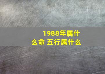 1988年属什么命 五行属什么